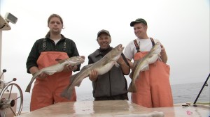 saving the ocean cod